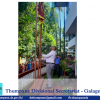 Assumption of duties by the new Divisional Secretary 2024 August 20